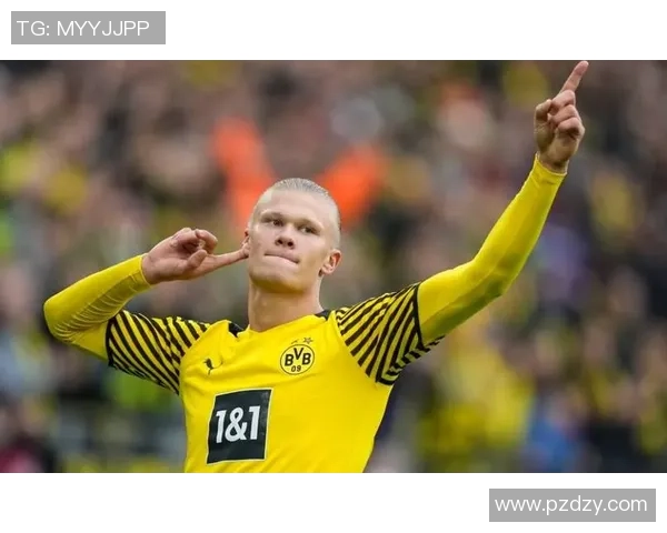 哈兰德强势崛起球场霸主形象壁纸尽显锋芒与魅力